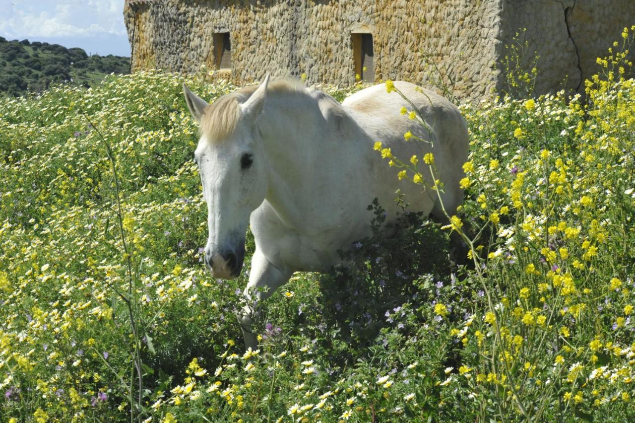 Finca La Cantarera Тарифа Экстерьер фото