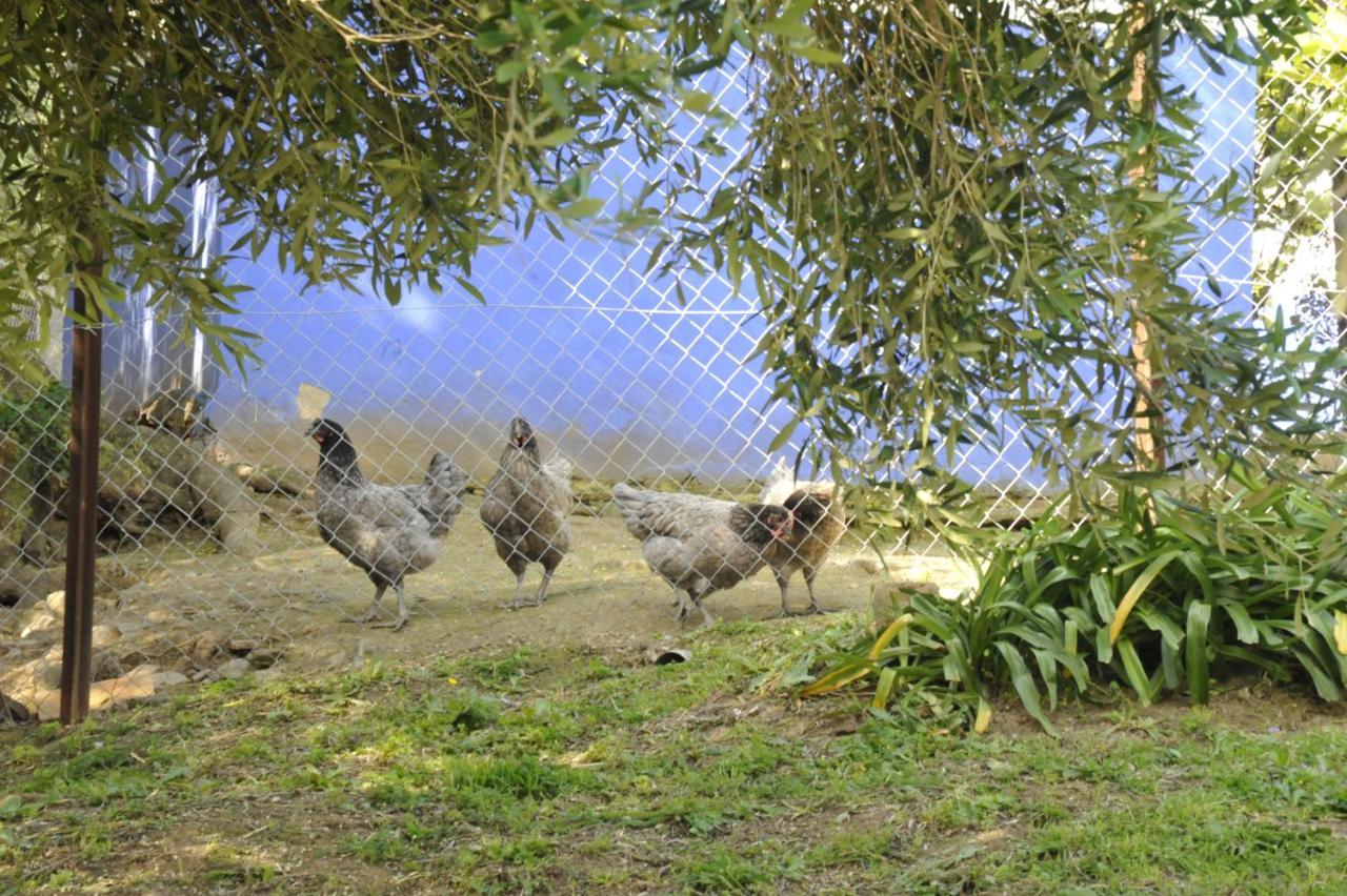 Finca La Cantarera Тарифа Экстерьер фото